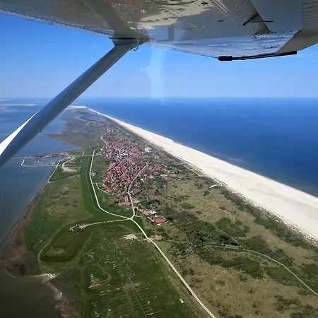 Haus Delft Anna ג'וסט